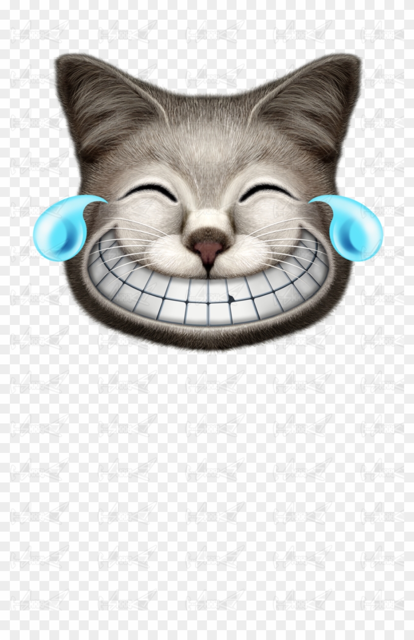 Laughing Cat Images