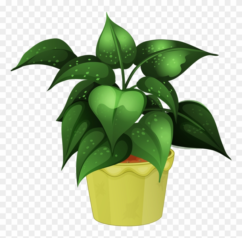 Svg Black And White Flower Pot Png Garden Pinterest Potted Plant Clipart Png Transparent Png 800x762 225664 Pngfind