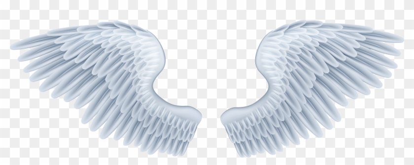 Free Angel Wings Png, Transparent Png - 8000x2866(#229930) - PngFind