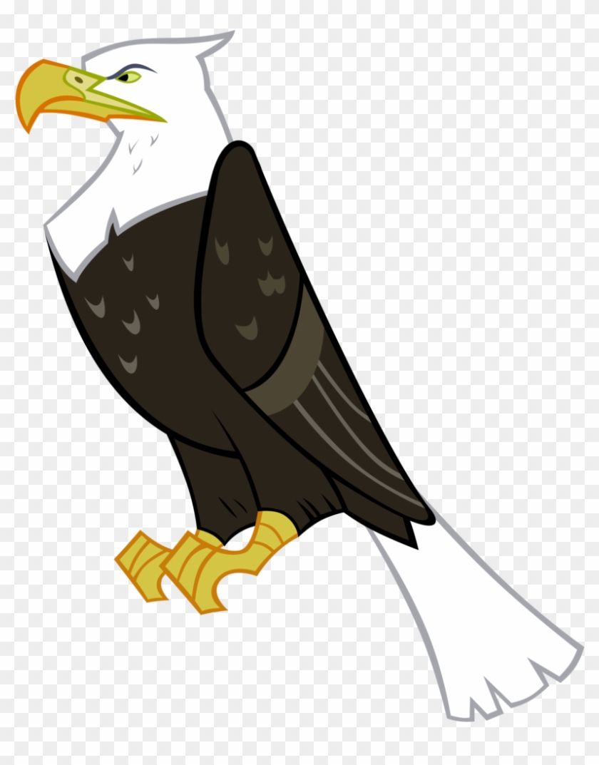 Vector Black And White Absurd Res Animal Artist Gurugrendo - Cartoon Eagle  Transparent Background, HD Png Download - 853x1024(#2204123) - PngFind