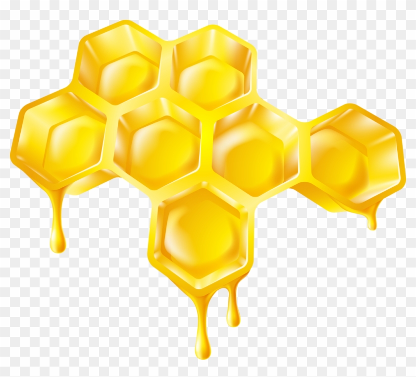 Honey Comb PNG Transparent Images Free Download, Vector Files