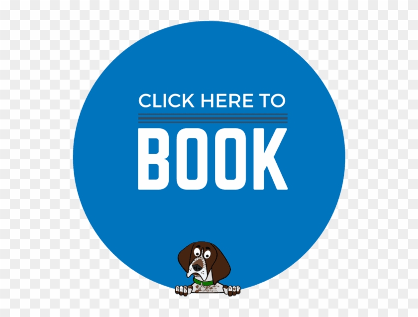 Book Now Button Shop All HD Png Download 640x640 2205193 PngFind