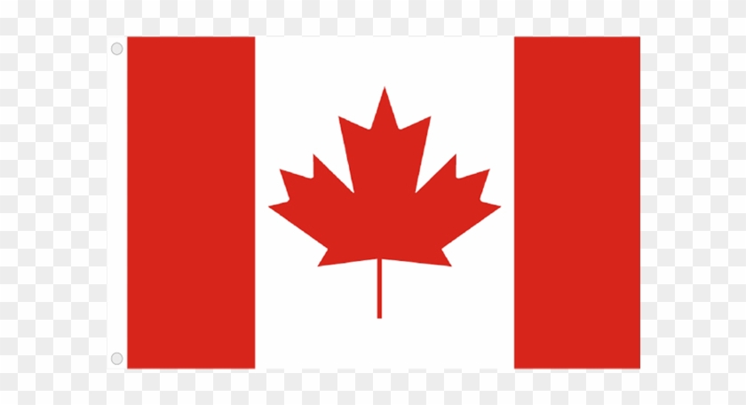 Canada Flag Png Transparent Images Canada Flag Logo Vector Png Canada Flag Png Transparent Images Canada Flag Logo Vector Png