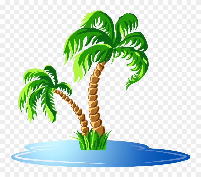 Home Center - Cartoon Island Palm Tree, HD Png Download - 800x800(#2208105)  - PngFind