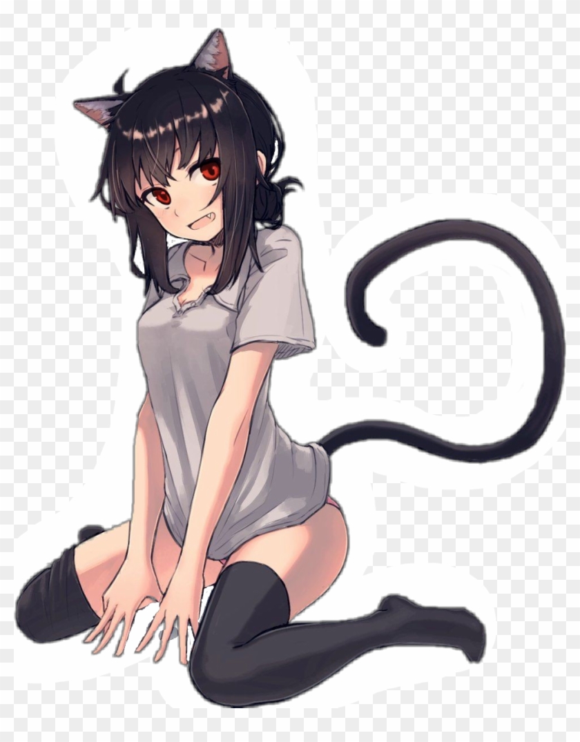 Anime Cat Girl