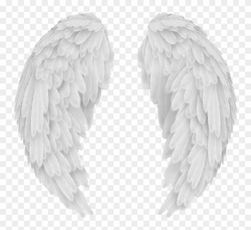 Wings Wing Alas Ala Overlay Tumblr White Blanco Hd Png