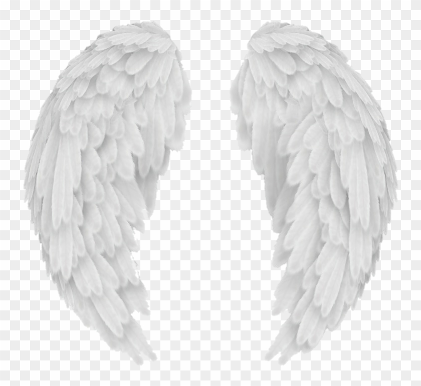 Angel Wings For Free On Roblox