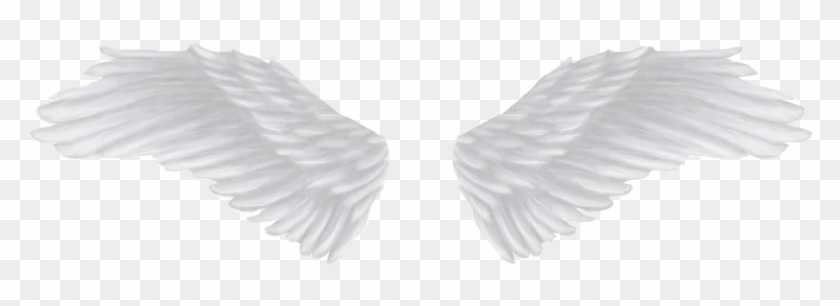 Download Transparent Background Angel Wings Png Hd Png Gif Base