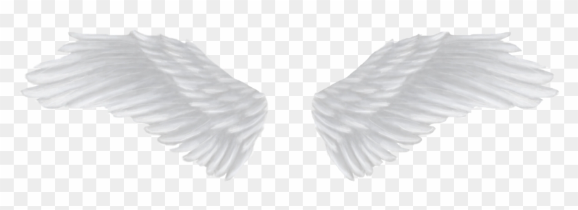 Download Transparent Background Angel Wings Png Png Gif Base - sparkling angel wings wings id for roblox free transparent png download pngkey