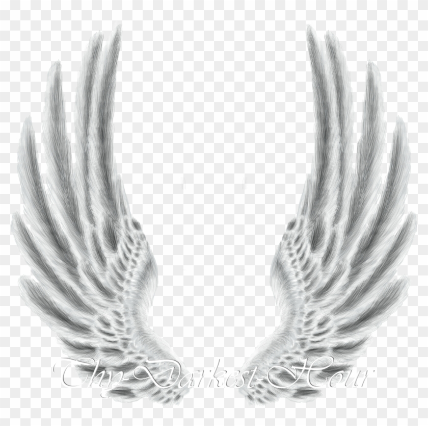 Premium Png By Thy Darkest Hour On Clipart Library - Wings Pngs ...