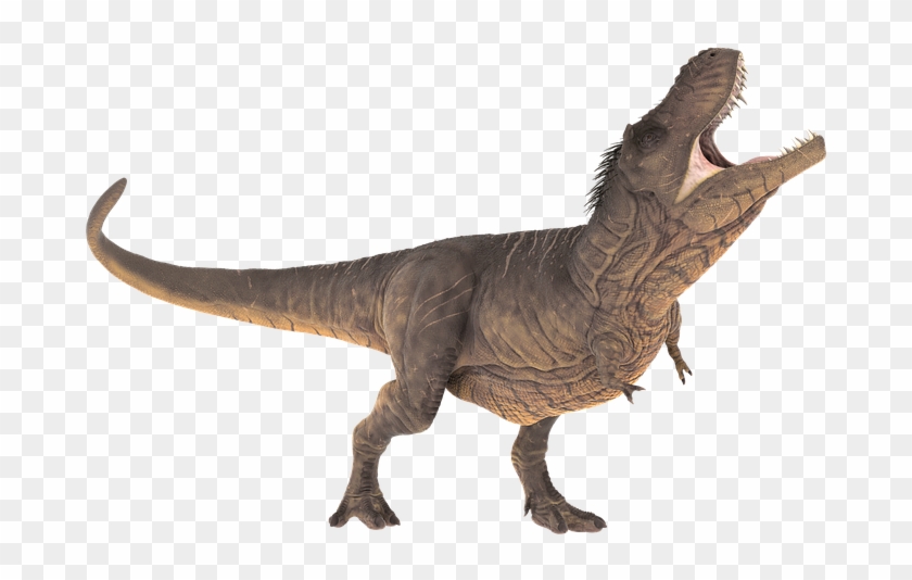 trex png t rex roar transparent png download 720x720 231763 pngfind