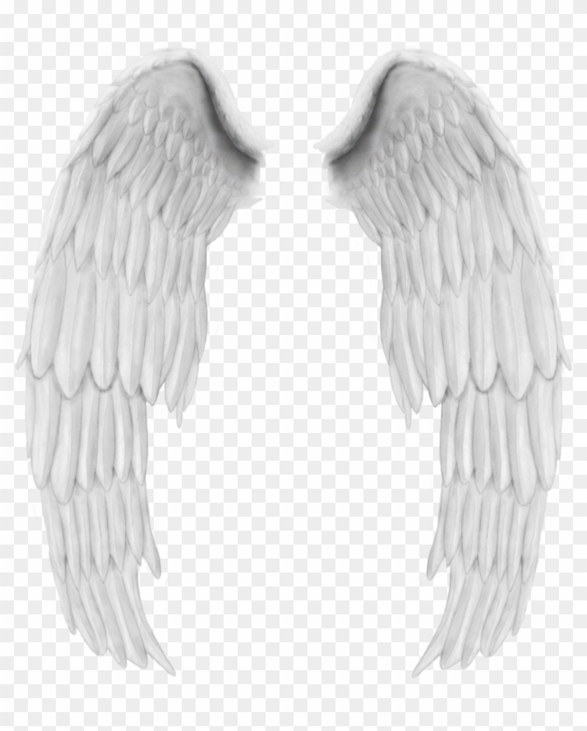 Angel Wings Collage Free Design Wing Wing Stickers Asas De