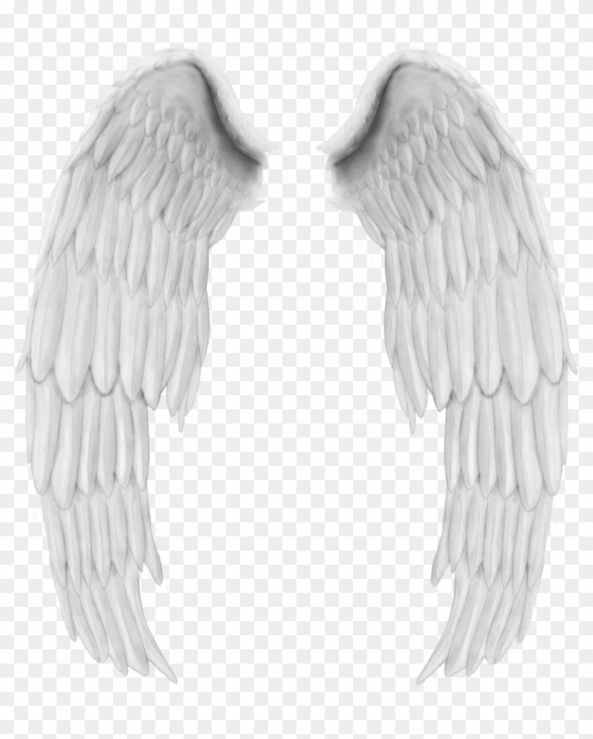 Angel Wings Collage Free Design Wing Wing Stickers Asas De Anjo Png Transparent Png 944x1022 232320 Pngfind - roblox free angel wings