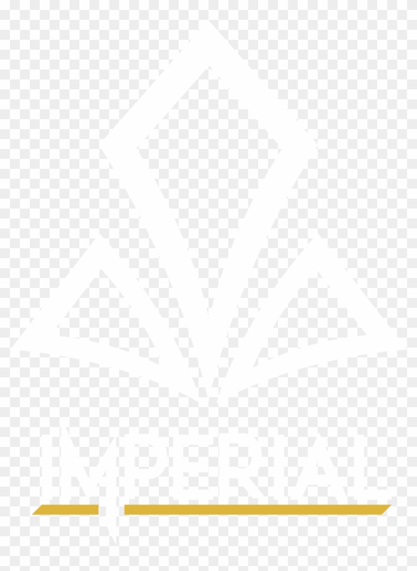 Heroic, Vs - Imperial Cs Go Team, HD Png Download - 1250x1624(#236760 ...