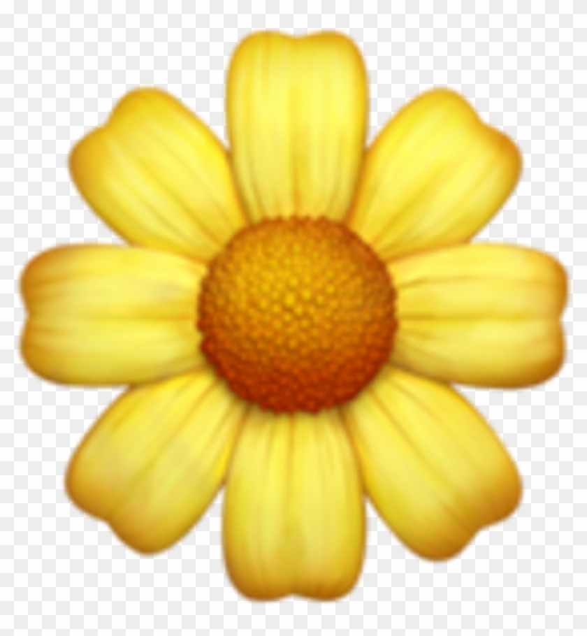 Iphone Emoji  Flowers  Daisy Iphone Flower  Emoji  Png 