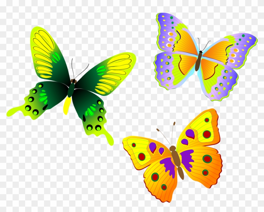 Free Free 114 Vector Monarch Butterfly Svg SVG PNG EPS DXF File