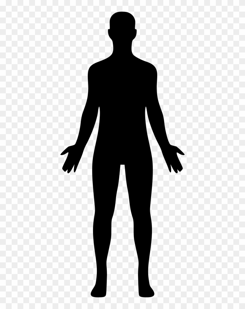 Png File Svg - Human Body Silhouette Png, Transparent Png - 428x980 ...