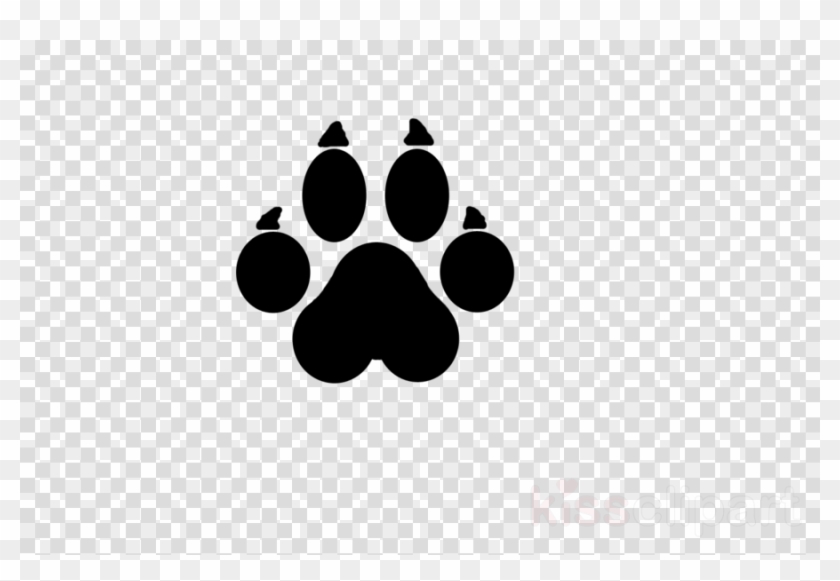 Cat Paw Prints Transparent Record Icon Transparent Background