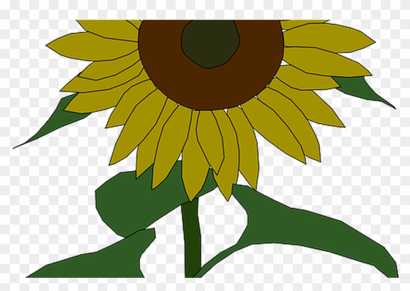 Free Free 240 Sketch Half Butterfly Half Flower Svg SVG PNG EPS DXF File