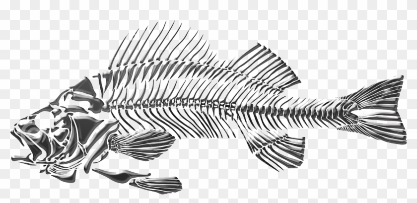 Download Banner Black And White Fish Dead Transprent Png Free Fish Transparent Png 1300x866 2375872 Pngfind