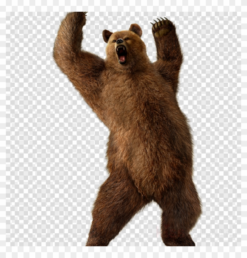 grizzly bear standing clipart