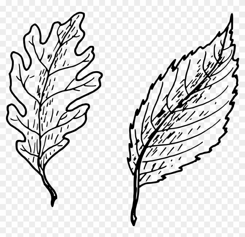 Featured image of post Simple Leaf Png Black And White