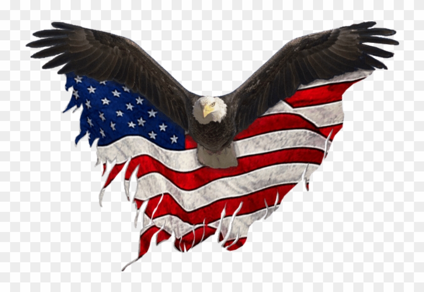 Download Usa Eagle Png - Eagle United States Png, Transparent Png ...