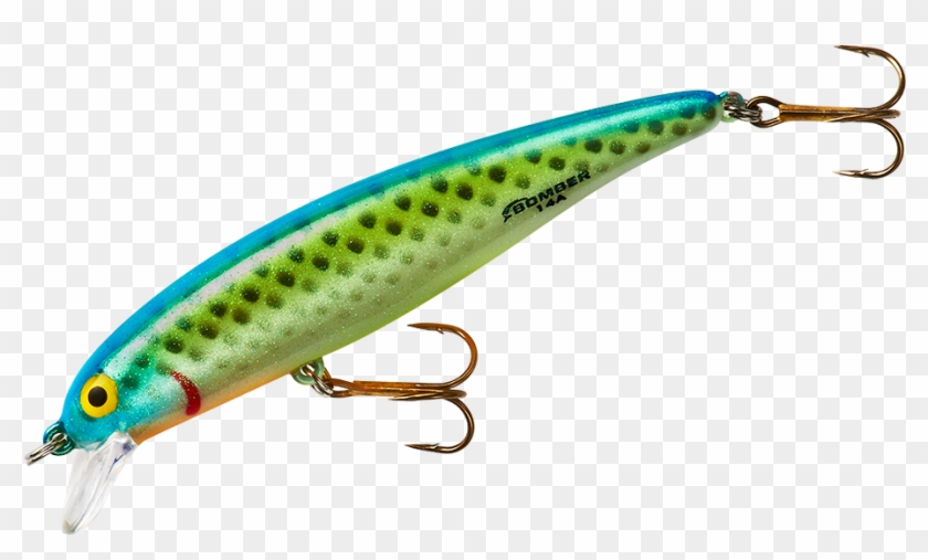 Image Transparent Stock Amazon Com Bomber Long A Fishing - Fishing Lure Png, Png Download - 1000x1000(#241089)