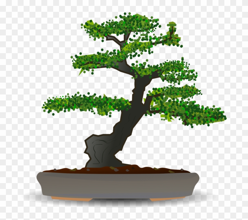 Bonsai Clip Art - Bonsai Tree Clipart, HD Png Download - 600x542(#2422118)  - PngFind