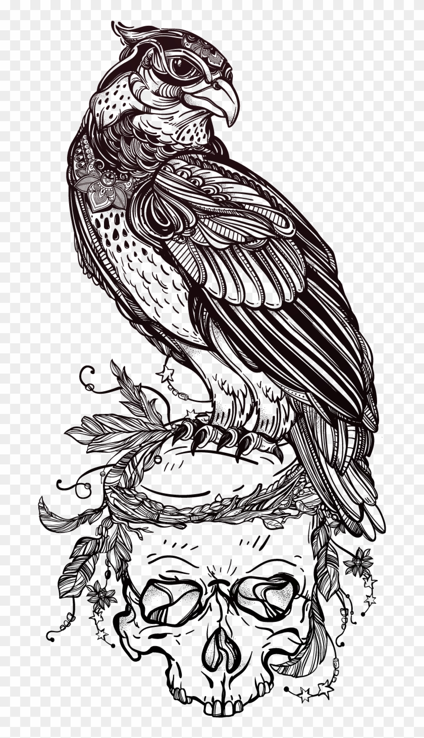 Tattoo Illustrator Skull Owl Of Material Bird Clipart - Hình Vẽ ...