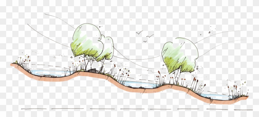Premium Vector | Architecture tree sketch style for plan