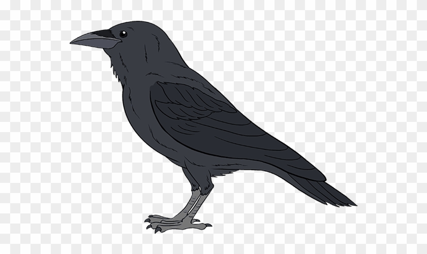 Raven Ari Elwess Fire of the Nation  Anime Amino