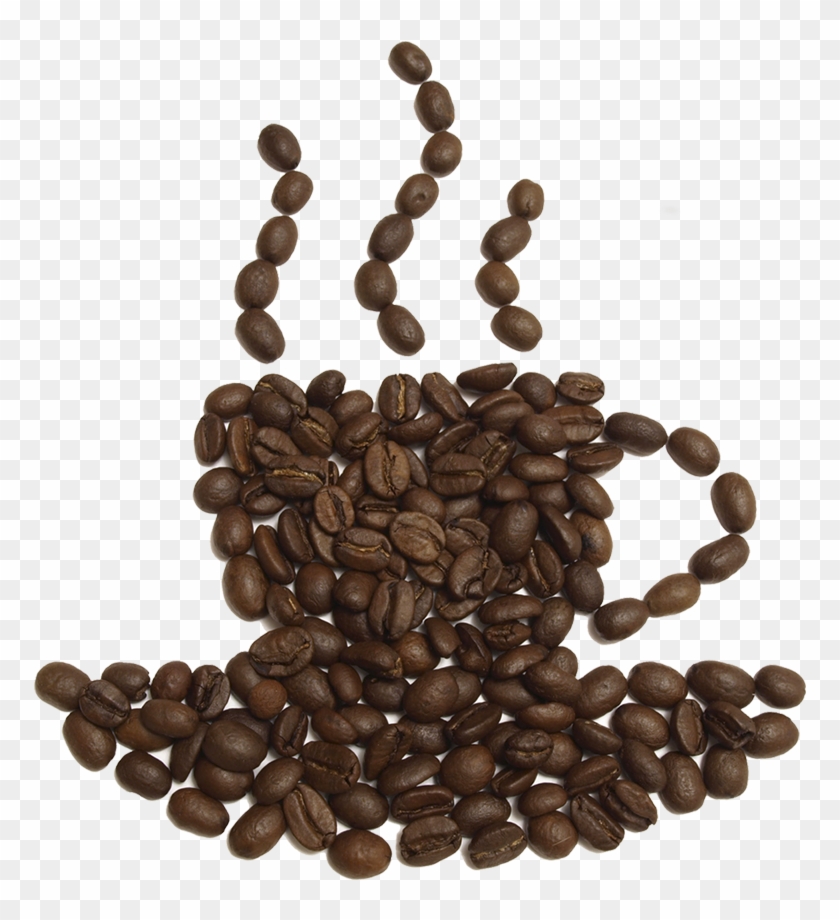 Cup Make With Coffee Png Image - 1 Coffee Bean Transparent Background, Png  Download - 860x908(#2454194) - PngFind
