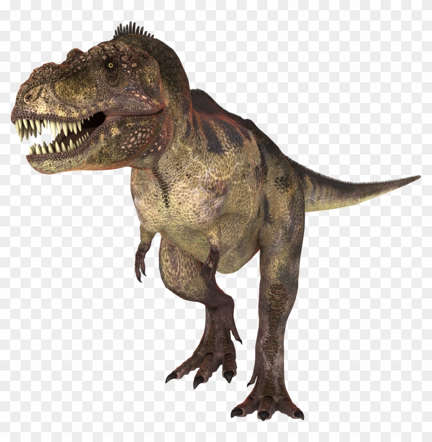 Dinosaur Png - Imagenes En Hd De Dinosaurios, Transparent Png - 3500x2800(#2469044) - PngFind Dinosaur Png - Imagenes En Hd De Dinosaurios, Transparent Png - 3500x2800(#2469044) - PngFind