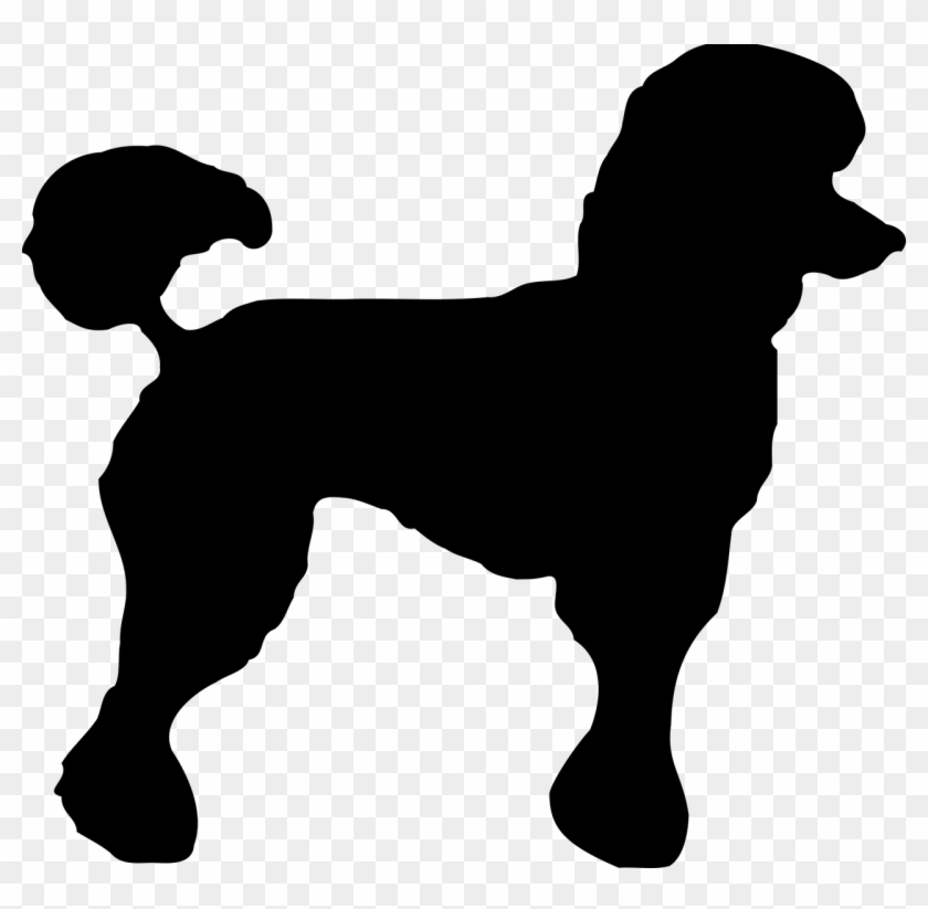 Poodle Dog Doggy Outline Animal Png Image Black Toy Poodle