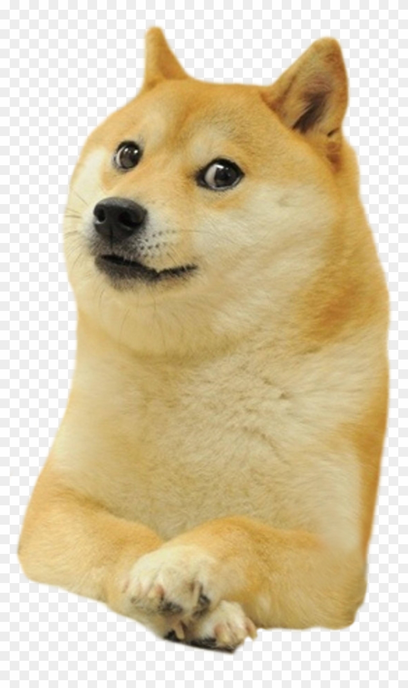 Shiba Deal Inu Doge It Dogecoin Warcraft Clipart Doge Meme