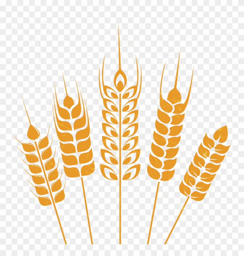 อัลบั้ม 104+ ภาพพื้นหลัง เวก เตอร์ โลโก้ รวง ข้าว คมชัด