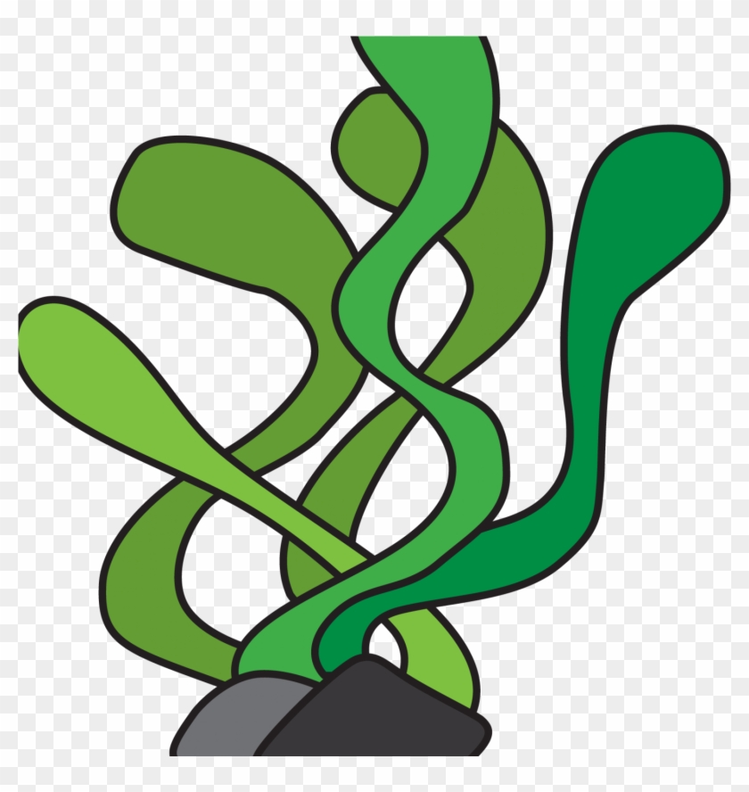 Vector Library Stock Aquatic Plants Seaweed Underwater - Underwater Plants  Clipart, HD Png Download - 1500x1500(#2496048) - PngFind