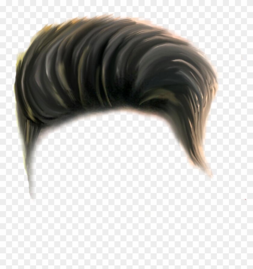 2022 Hairstyles Hair PNG Women And Men Hair Style  Free Transparent PNG  Logos