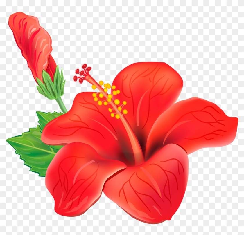 Hawaiian Flowers Png - Flor Del Festival Vallenato, Transparent Png -  1296x1191(#252633) - PngFind