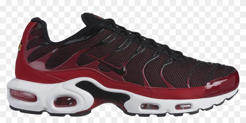 air max plus double swoosh