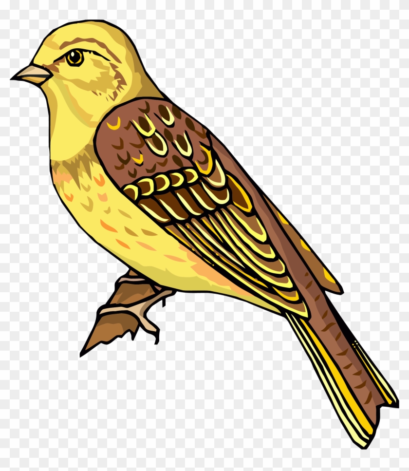 Staying Realistic Bird Clipart Png - Clipart Pictures Of Bird