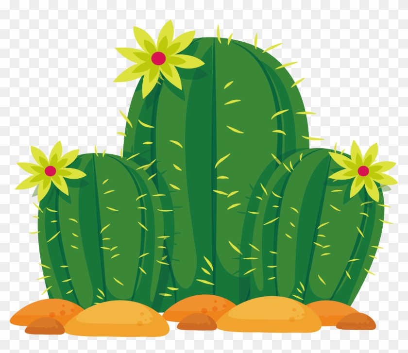 Featured image of post Cacto Desenho Png