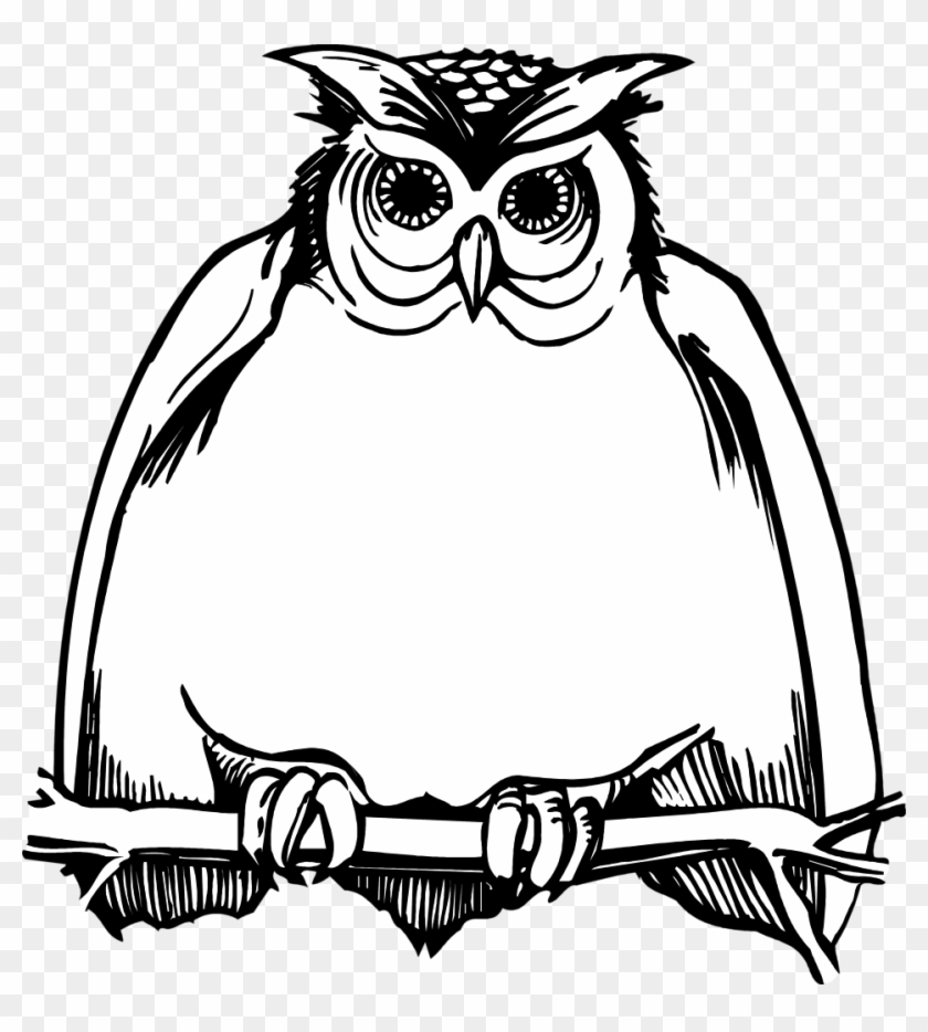 Horned Owl Clipart Black And White Clipart Harry Potter Owl Hd