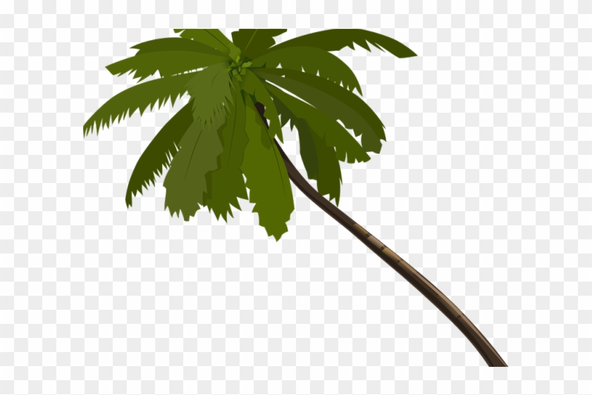 Transparent Cartoon Palm Tree - Palm Trees Animated Png, Png Download -  640x480(#2555729) - PngFind