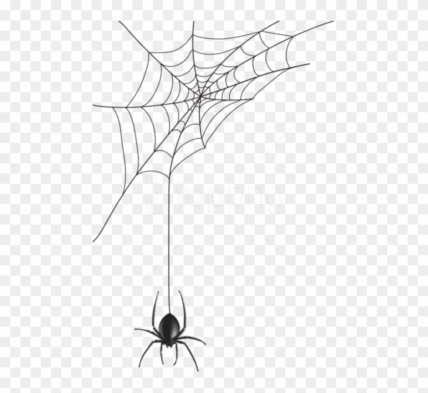 Spider Man Web Png - Transparent Spider Web Vector, Png Download -  480x700(#2558522) - PngFind