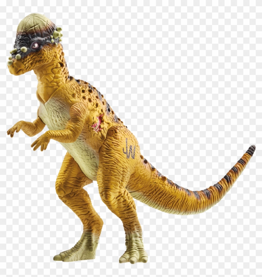 Jurassic World Park 12 Velociraptor Red Raptor Dinosaur Dinosaur With 