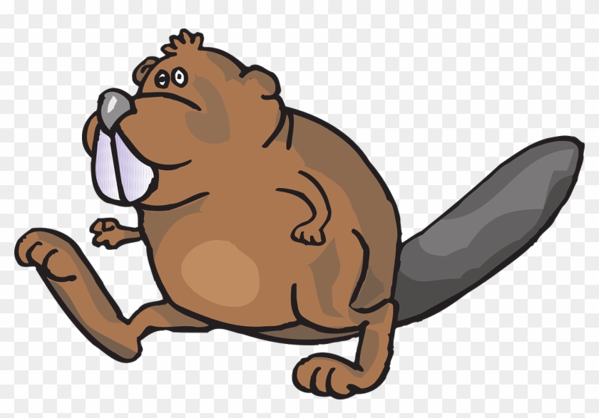 Beaver Walking Animal Movement Png Image - Cartoon With Buck Teeth,  Transparent Png - 1280x835(#2574608) - PngFind