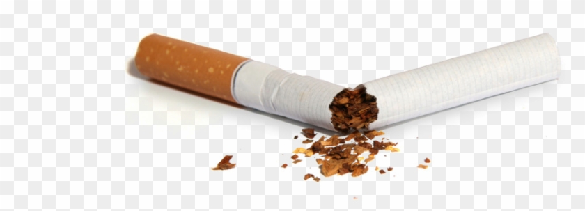 2023 census cigarette smoking behaviour by regional council stats nz Subnational population projections: 2023(base)–2053