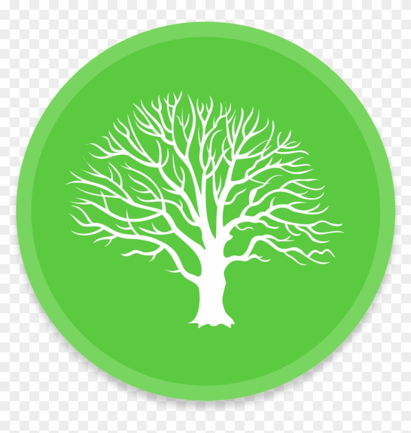 Macfamilytree Icon - Tree Icon Circle Png, Transparent Png - 1024x1024 ...